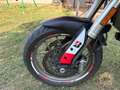 Ducati Multistrada 950 standard Czerwony - thumbnail 5