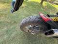 Ducati Multistrada 950 standard Czerwony - thumbnail 2