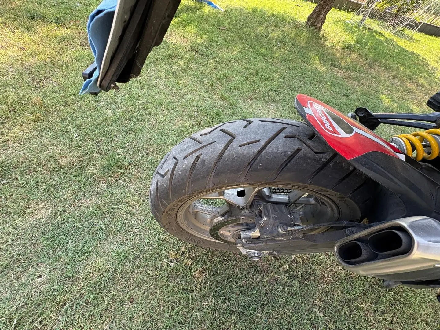 Ducati Multistrada 950 standard Czerwony - 2