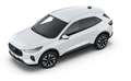Ford Kuga 2.5 Duratec FHEV Titanium ACC Navi HUD LM Weiß - thumbnail 12