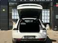 Peugeot 508 5P GT Line BlueHDi 120kW (160) S&S EAT8 Blanco - thumbnail 10