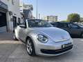 Volkswagen Beetle Cabrio 1.6 tdi Design 105cv - PERFETTO Grigio - thumbnail 6