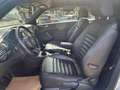 Volkswagen Beetle Cabrio 1.6 tdi Design 105cv - PERFETTO Grigio - thumbnail 15