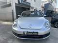 Volkswagen Beetle Cabrio 1.6 tdi Design 105cv - PERFETTO Grigio - thumbnail 4