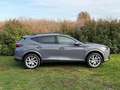 CUPRA Formentor Formentor 2020 2.0 tdi 4drive 150cv dsg Grigio - thumbnail 7