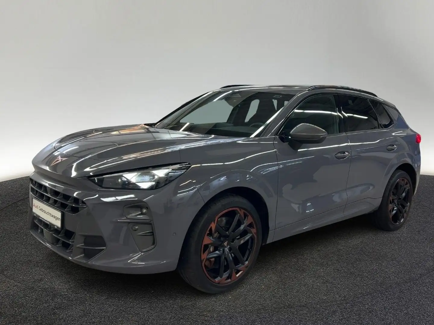 CUPRA Terramar VZ 2.0 TSI 4Drive DSG Pano Matrix Grau - 2