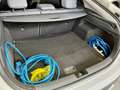 Hyundai IONIQ 38.3 kWh Feel (BlueLink) Gris - thumbnail 12