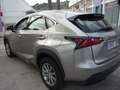 Lexus NX 300 300h Corporate 2WD + Navibox Gris - thumbnail 7