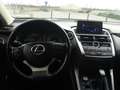 Lexus NX 300 300h Corporate 2WD + Navibox Gris - thumbnail 9