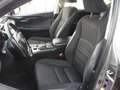 Lexus NX 300 300h Corporate 2WD + Navibox Gris - thumbnail 19