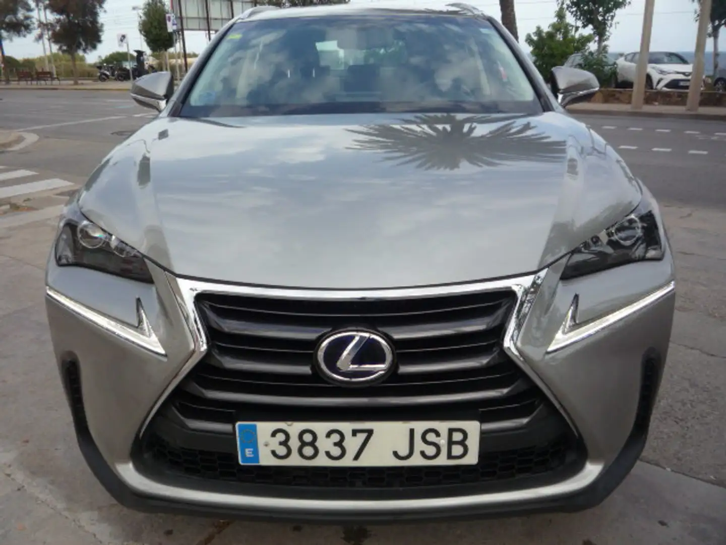 Lexus NX 300 300h Corporate 2WD + Navibox Gris - 2