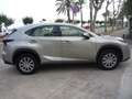 Lexus NX 300 300h Corporate 2WD + Navibox Gris - thumbnail 4