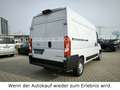 Opel Movano Cargo 3,3t L2H2 Navigation/Klima/D-Model Alb - thumbnail 7