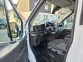 Ford Transit 350 L4 Trend MIXTO Doka*6-SITZ*NAVI*1.HD Weiß - thumbnail 12