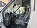 Ford Transit 350 L4 Trend MIXTO Doka*6-SITZ*NAVI*1.HD Weiß - thumbnail 13