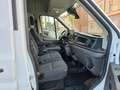 Ford Transit 350 L4 Trend MIXTO Doka*6-SITZ*NAVI*1.HD Weiß - thumbnail 15