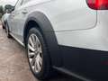 Audi A4 allroad A4 Allroad Quattro 2.0 tdi Business Plus s-tronic Argent - thumbnail 21