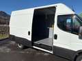 Iveco Daily 35S14B V Kastenwagen Weiß - thumbnail 5