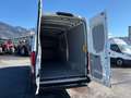 Iveco Daily 35S14B V Kastenwagen Weiß - thumbnail 13