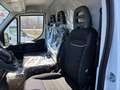 Iveco Daily 35S14B V Kastenwagen Weiß - thumbnail 17