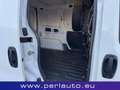 Fiat Fiorino 1.3 MJT 75CV Furgone Weiß - thumbnail 13