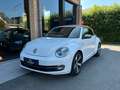 Volkswagen Beetle Cabriolet 2.0 CR TDi Karmann I CARNET VW 1ere main Blanc - thumbnail 6