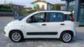 Fiat Panda 1.3 mjt 16v Lounge 75cv Bianco - thumbnail 3