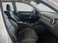 MG ZS MG ZS EV Luxury 51 kWh Panorama/Leder/360°Kamera Wit - thumbnail 3