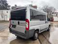Fiat Ducato Kombi 30 100 hoch 9 Sitzer Grau - thumbnail 6