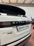 Land Rover Range Rover Evoque Range Rover Evoque 2.0d HSE awd 150cv auto Weiß - thumbnail 7