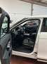 Land Rover Range Rover Evoque Range Rover Evoque 2.0d HSE awd 150cv auto Weiß - thumbnail 9