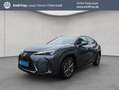 Lexus UX 250h 250h F-Sport Design Grau - thumbnail 1
