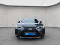 Lexus UX 250h 250h F-Sport Design Grau - thumbnail 7