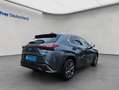 Lexus UX 250h 250h F-Sport Design Grau - thumbnail 5