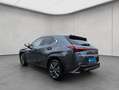 Lexus UX 250h 250h F-Sport Design Grau - thumbnail 3