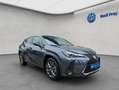 Lexus UX 250h 250h F-Sport Design Grau - thumbnail 6