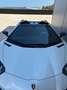 Lamborghini Aventador LP740-4 S Roadster Weiß - thumbnail 8