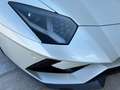 Lamborghini Aventador LP740-4 S Roadster Weiß - thumbnail 7