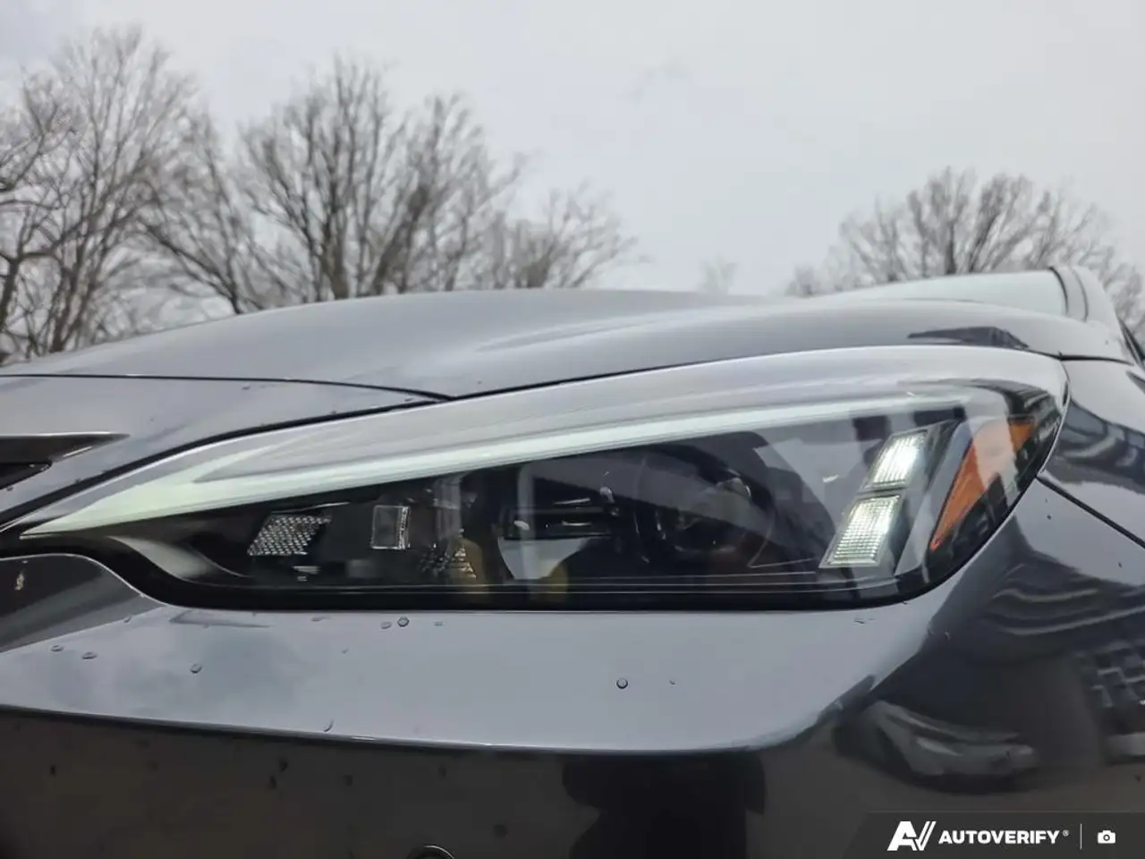 Lexus NX снимка Lexus NX