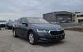 Skoda Octavia 2,0 TDI Premium DSG Grau - thumbnail 5