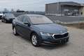 Skoda Octavia 2,0 TDI Premium DSG Grau - thumbnail 4