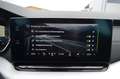 Skoda Octavia 2,0 TDI Premium DSG Grau - thumbnail 29