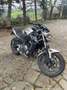 Kawasaki Z 650 Grey - thumbnail 5