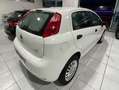 Fiat Punto Punto 5p 1.4 natural power Street 70cv E6 Weiß - thumbnail 8