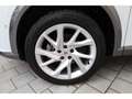 CUPRA Formentor 2.0 TDI DSG 4Drive NAV/ACC/el.Klappe Weiß - thumbnail 18
