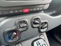 Fiat Panda 1.0 FireFly S&S Hybrid Icon Blu/Azzurro - thumbnail 14