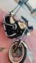 Harley-Davidson Sportster XL 883 Beige - thumbnail 13