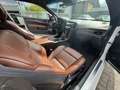 Cadillac ATS 2.0t coupe Premium AWD Blanc - thumbnail 16