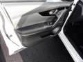 Nissan Qashqai Zama 1.3 DIG-T EU6d Panorama Navi Mehrzonenklima 2 Weiß - thumbnail 14