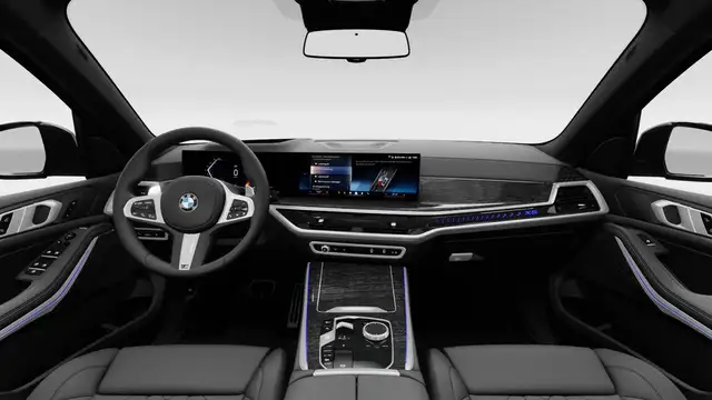 BMW X5 X5 view 9